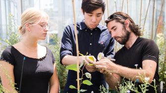 UNSW Science School of Biological, Earth and Environmental Sciences Glasshouse Students in the School of Biological, Earth and Environmental Sciences Glasshouse inspecting plants