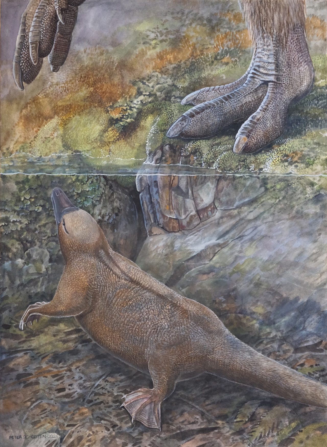 Kryoryctes at Dinosaur Cove_reconstruction by Peter Schouten