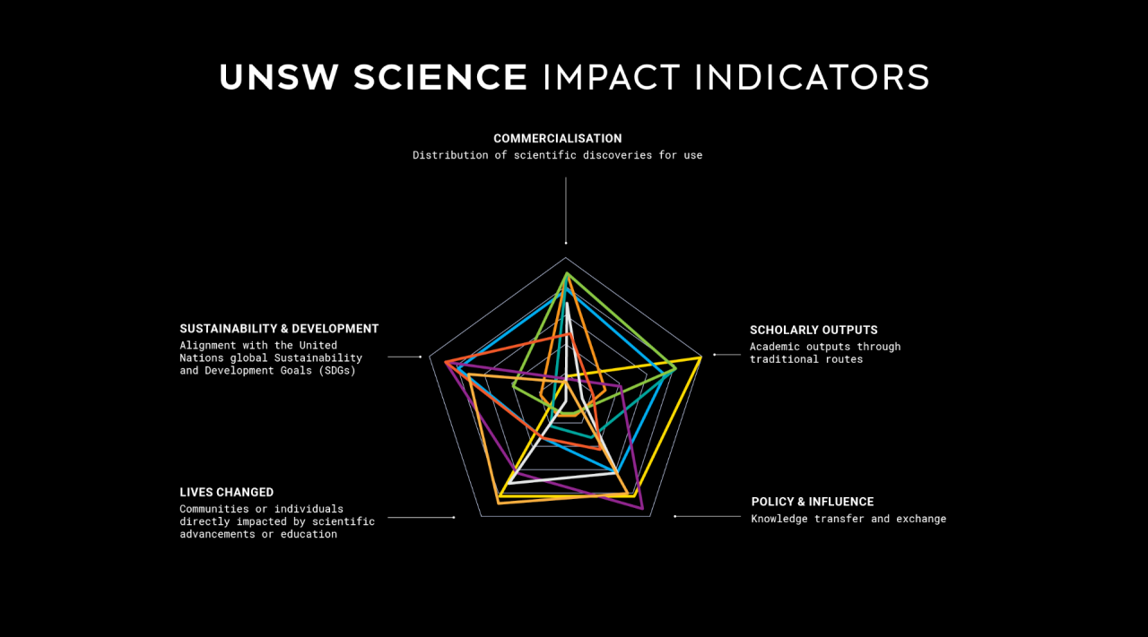 A spidergraph of impact indicators