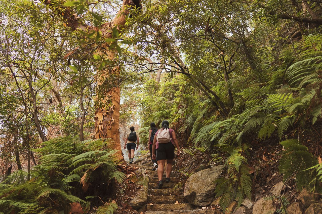 Friends hiking the Casuarina Track in Garigal National Park in Sydney
